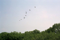 Nicaragua 2010
